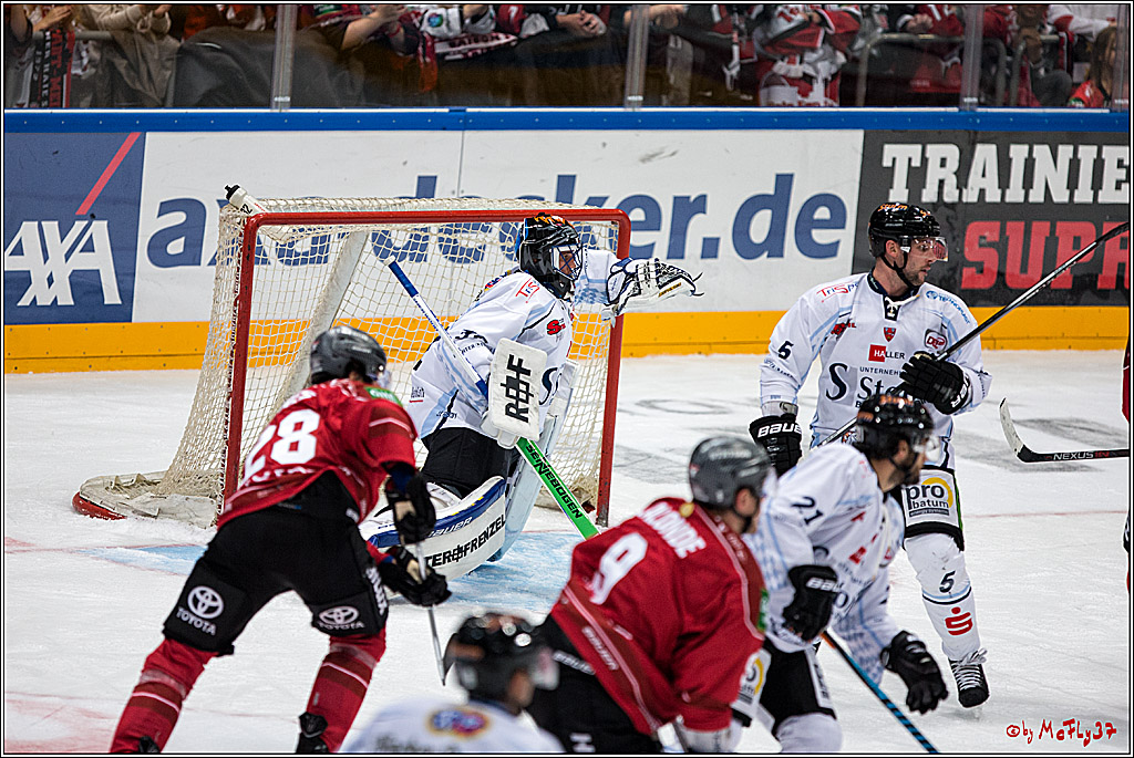 Koelner Haie - Straubing Tigers, 03.10.2016